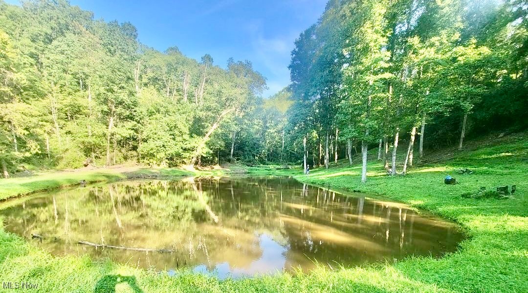 3367 Loomis Ridge Road Parkersburg, WV 26104 - Photo 42 of 43 Pond on property