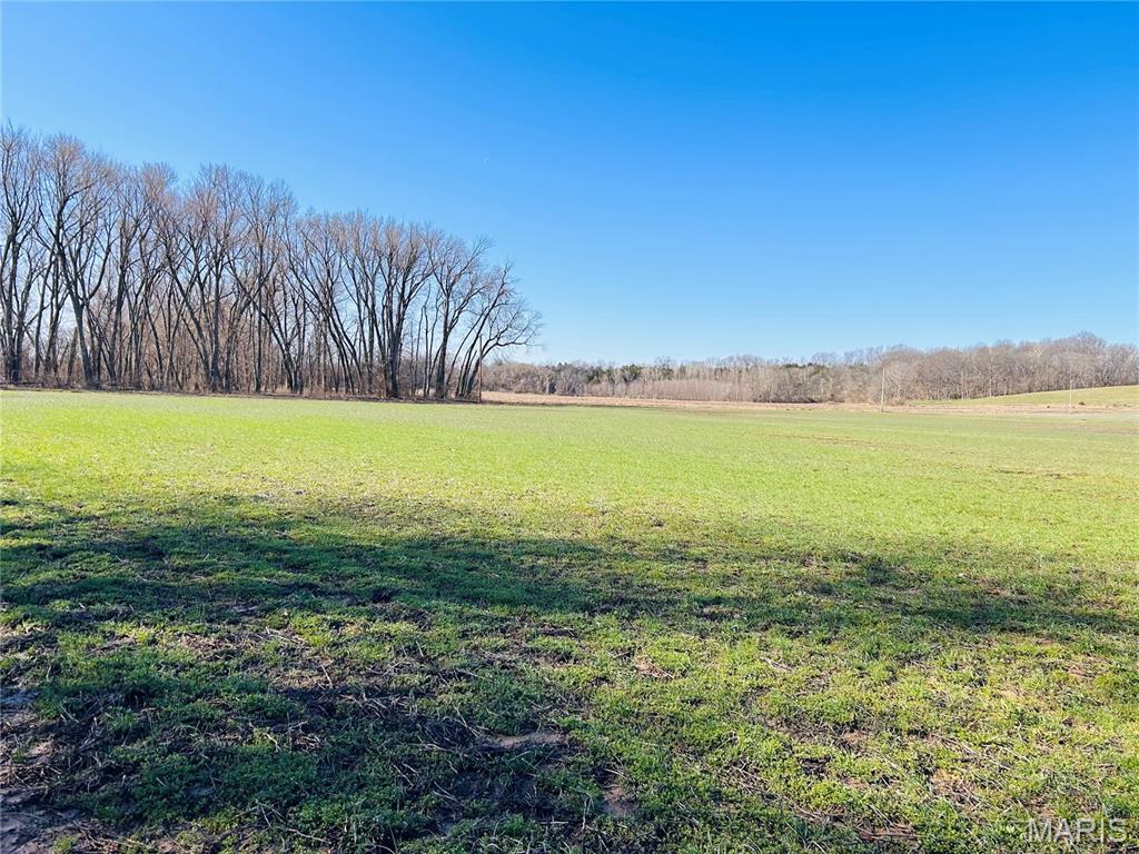 0 South Fork Road Red Bud, IL 62278 - Photo 11 of 13