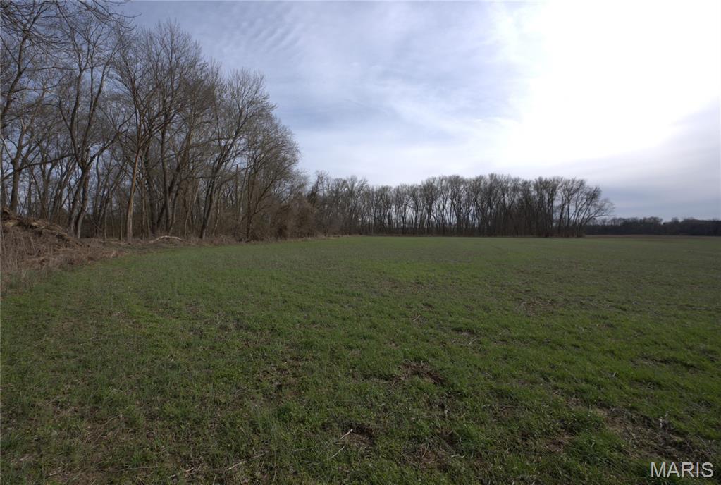 0 South Fork Road Red Bud, IL 62278 - Photo 5 of 13