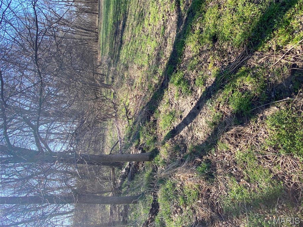 0 South Fork Road Red Bud, IL 62278 - Photo 6 of 13