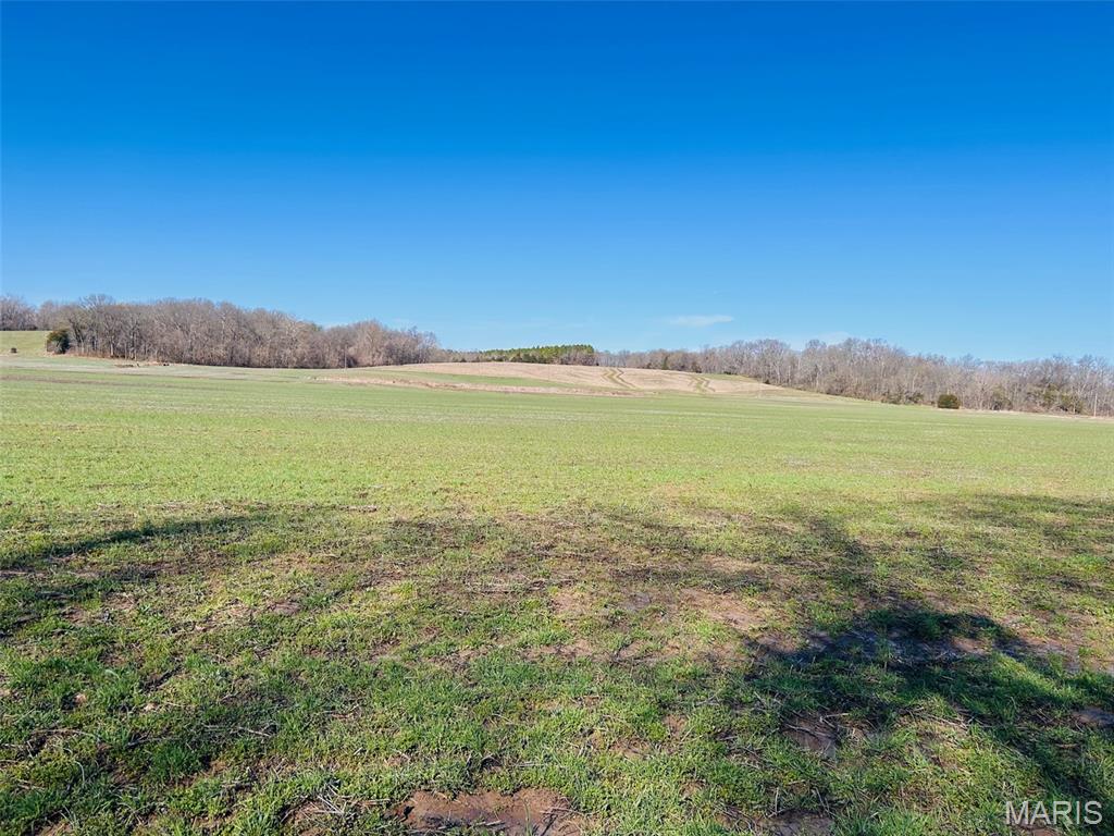 0 South Fork Road Red Bud, IL 62278 - Photo 9 of 13