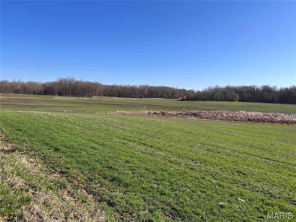 0 South Fork Road Red Bud, IL 62278 - Photo 10 of 13