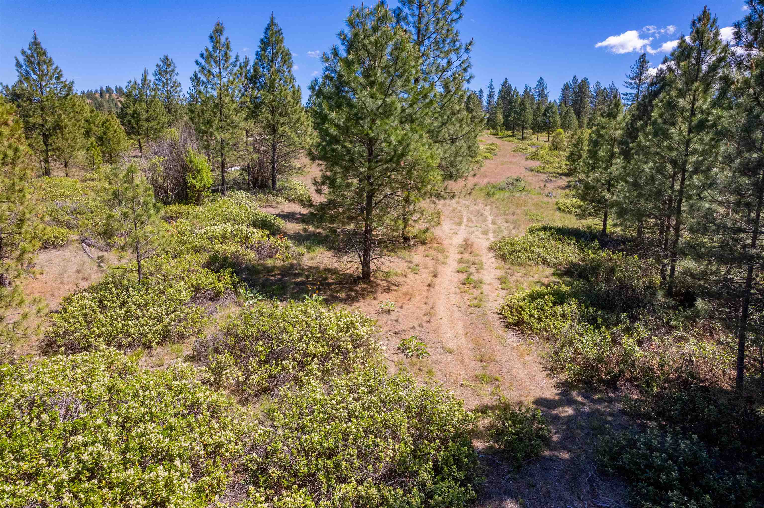 29-xxx North Hardesty Road Chattaroy, WA 99003 - Photo 5 of 40