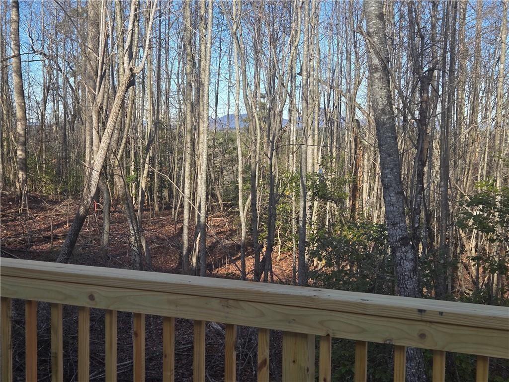 2986 Cannon Bridge Road Demorest, GA 30535 - Photo 34 of 37