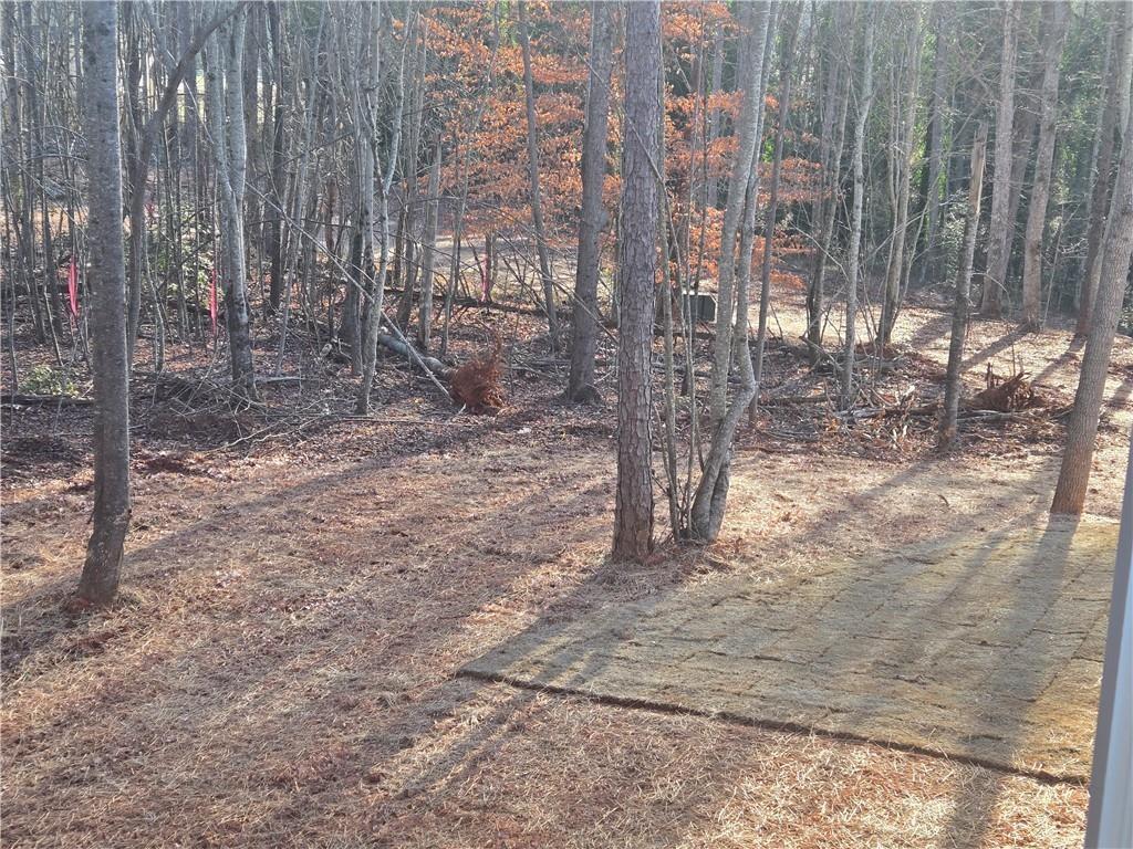 2986 Cannon Bridge Road Demorest, GA 30535 - Photo 36 of 37