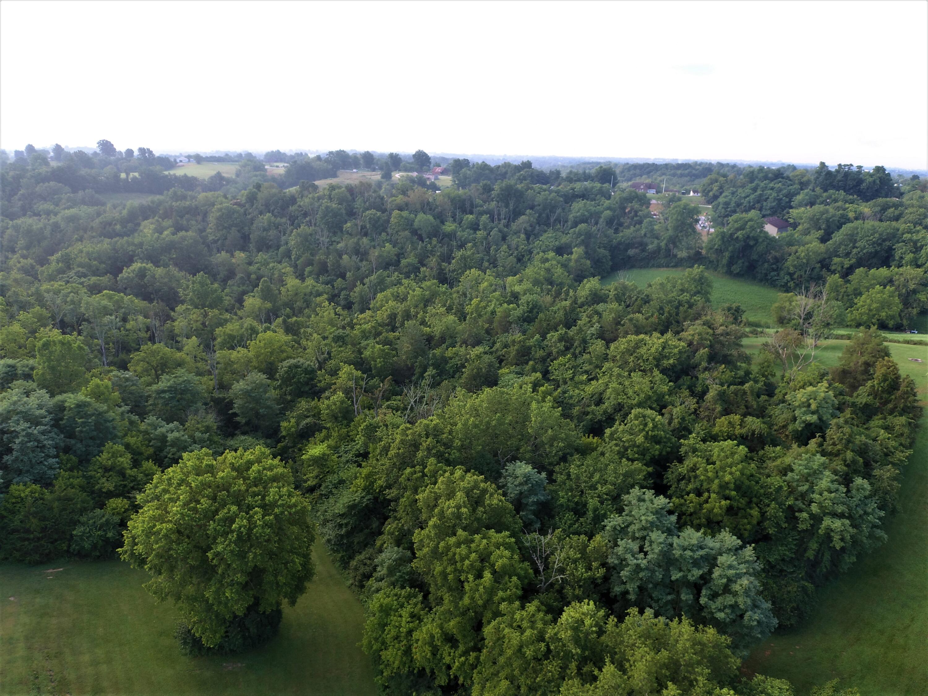 3354 Greenville Road Dry Ridge, KY 41035 - Photo 1 of 33 6