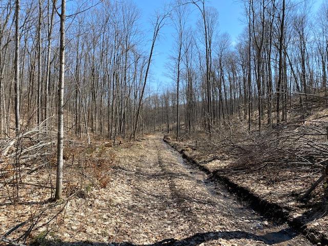 South Durkalic Road Pellston, MI 49769 - Photo 19 of 32