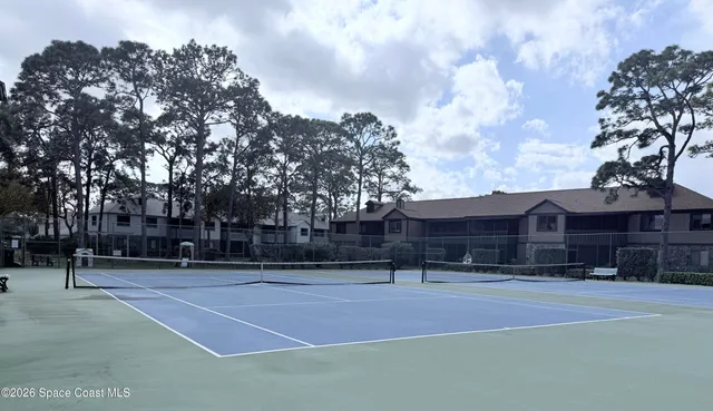 a outdoor space with lots of palm trees