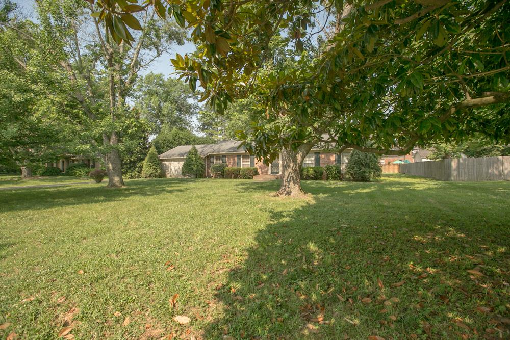 Front yard