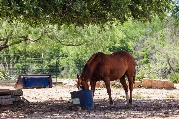 $815,000 | 217 County Road 102, San Saba, TX 76877