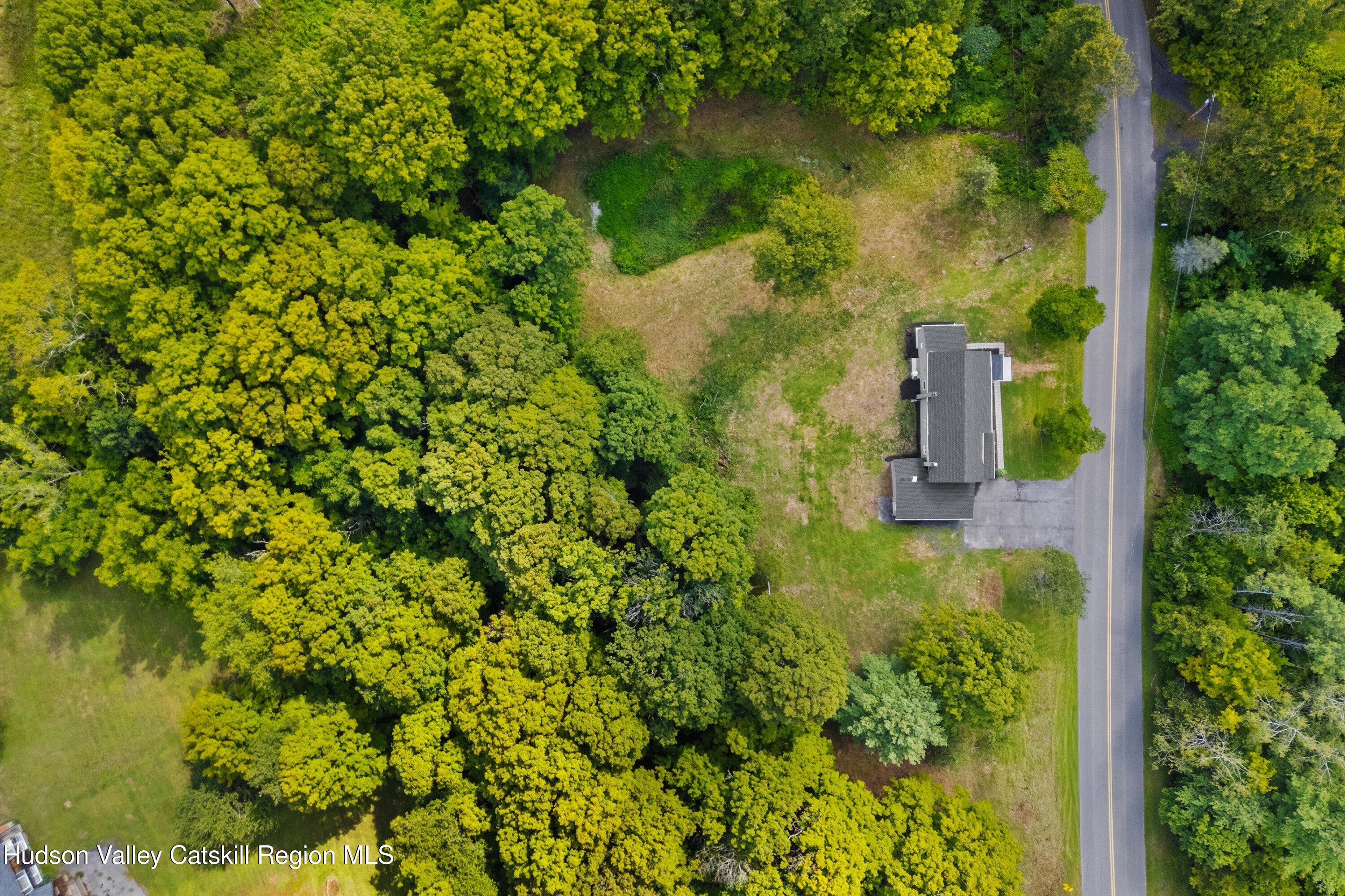 1320 Rudolph Weir Jr Road Earlton, NY 12058 - Photo 22 of 26 a view of a garden with plants