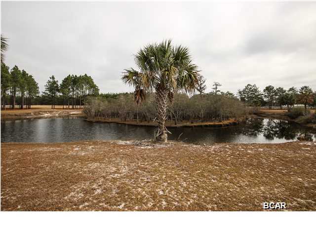 1435 Skunk Valley Road Southport, FL 32409 - Photo 1 of 18 Gallery Image 1