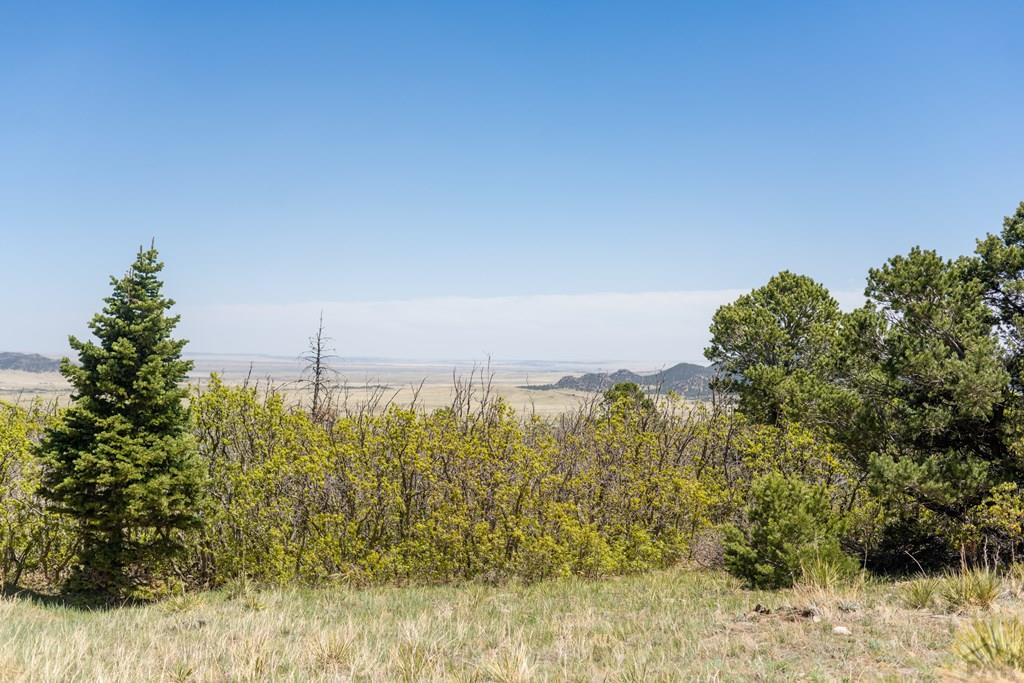 Lot 25 Majors Ranch Walsenburg, CO 81089 - Photo 14 of 34