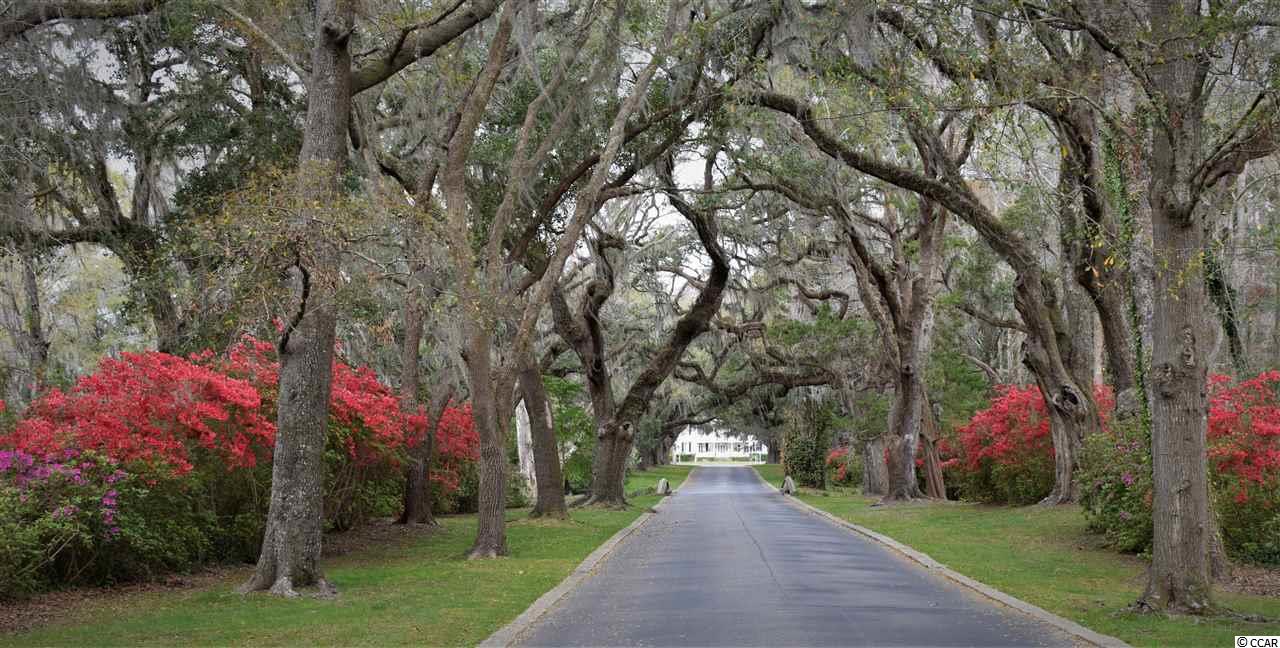 80 Landing Road, Unit 5 Pawleys Island, SC 29585 - Photo 2 of 7 Gallery Image 2