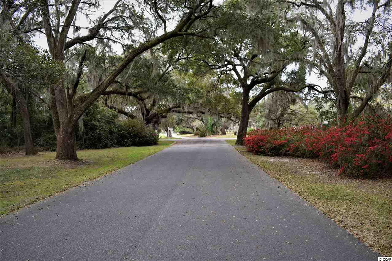 80 Landing Road, Unit 5 Pawleys Island, SC 29585 - Photo 5 of 7 Gallery Image 5