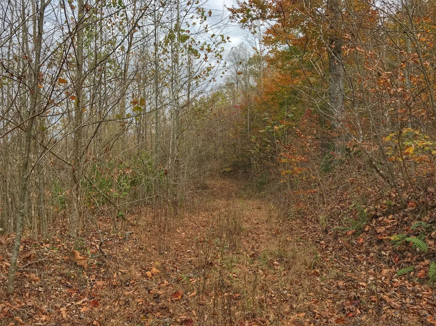 889 South Fork Road Stanton, KY 40380 - Photo 19 of 19 Photo 19