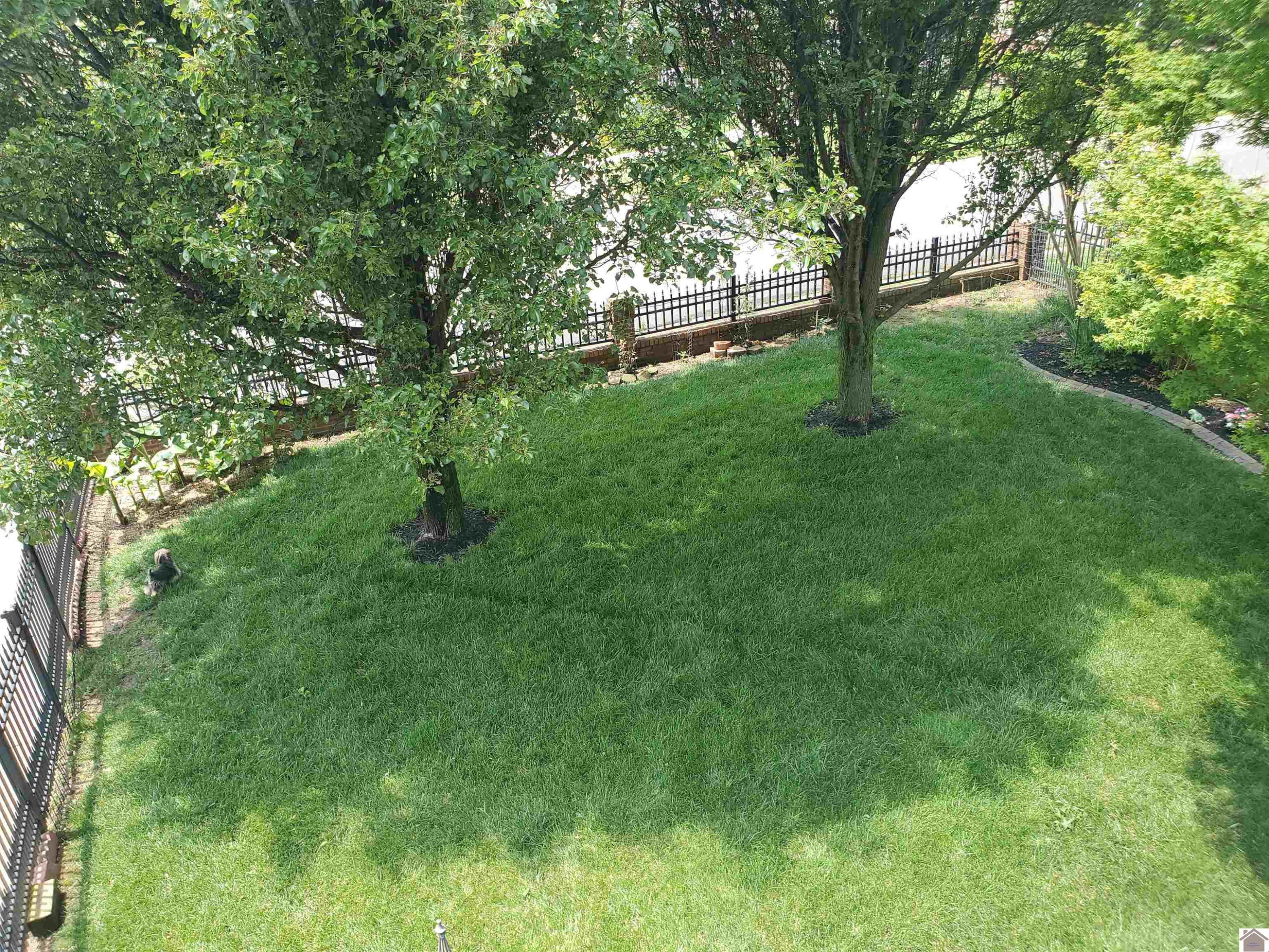 170 Spring Valley Cove Paducah, KY 42003 - Photo 20 of 24 Photo 20