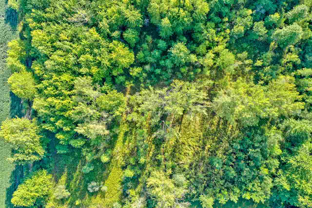 3421 Tittabawassee Road Hemlock, MI 48626 - Photo 51 of 58 Gallery Image 51