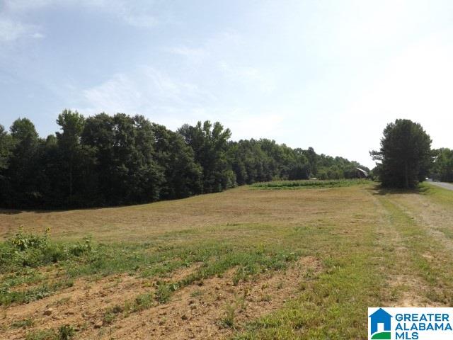 915 Burgett Road Altoona, AL 35952 - Photo 15 of 36