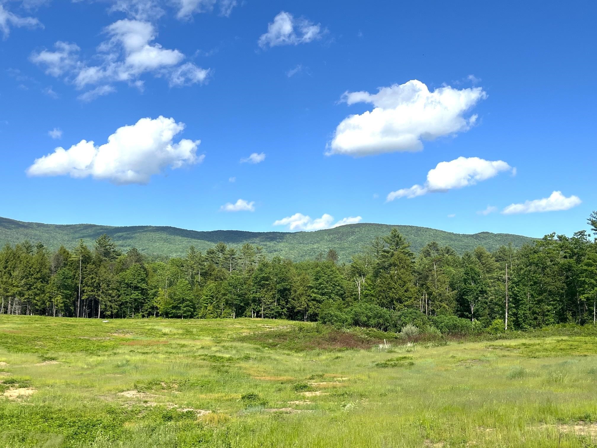 139 A Turner Road Wentworth, NH 03282 - Photo 3 of 19
