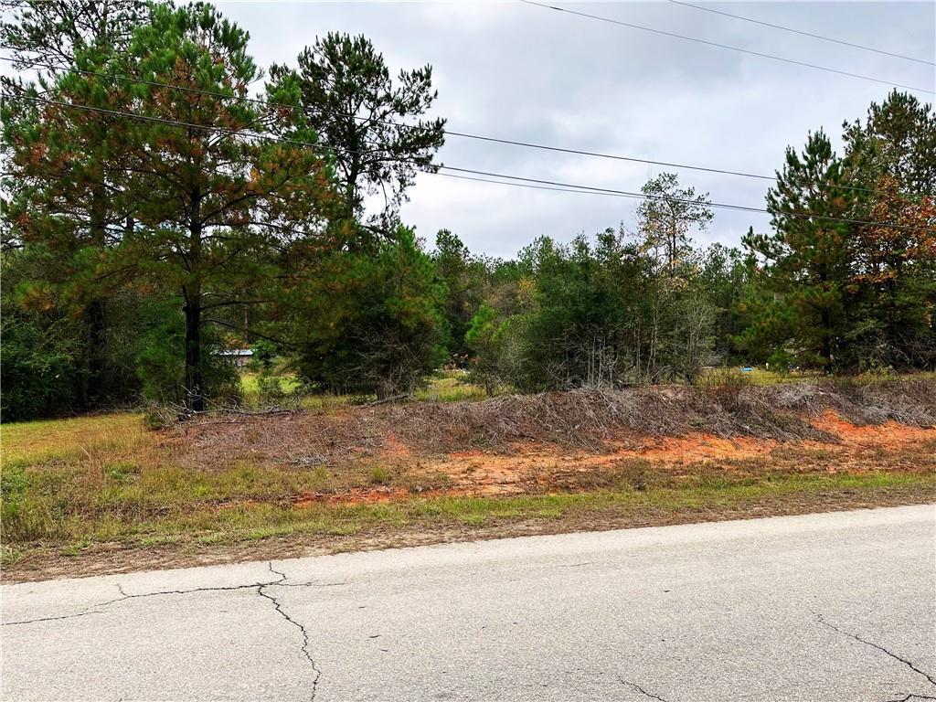 83251 Isabel Swamp Road Bush, LA 70431 - Photo 1 of 3