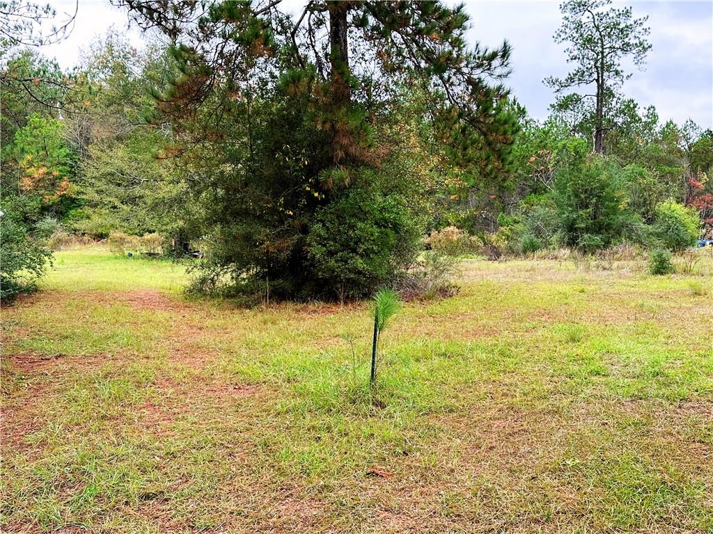 83251 Isabel Swamp Road Bush, LA 70431 - Photo 2 of 3