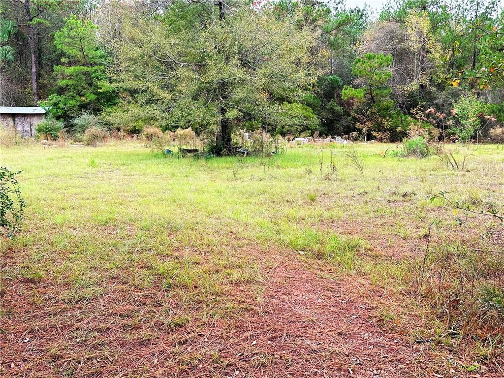 83251 Isabel Swamp Road Bush, LA 70431 - Photo 3 of 3
