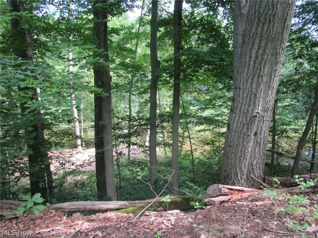 5560 Dodge Road Rome, OH 44085 - Photo 47 of 49 View of the Creek