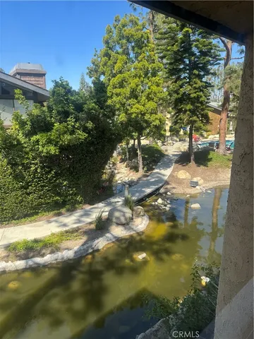 a view of a yard with yellow plants