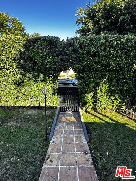 643 North Vista Street Los Angeles, CA 90036 - Photo 14 of 51 a view of a yard with large trees