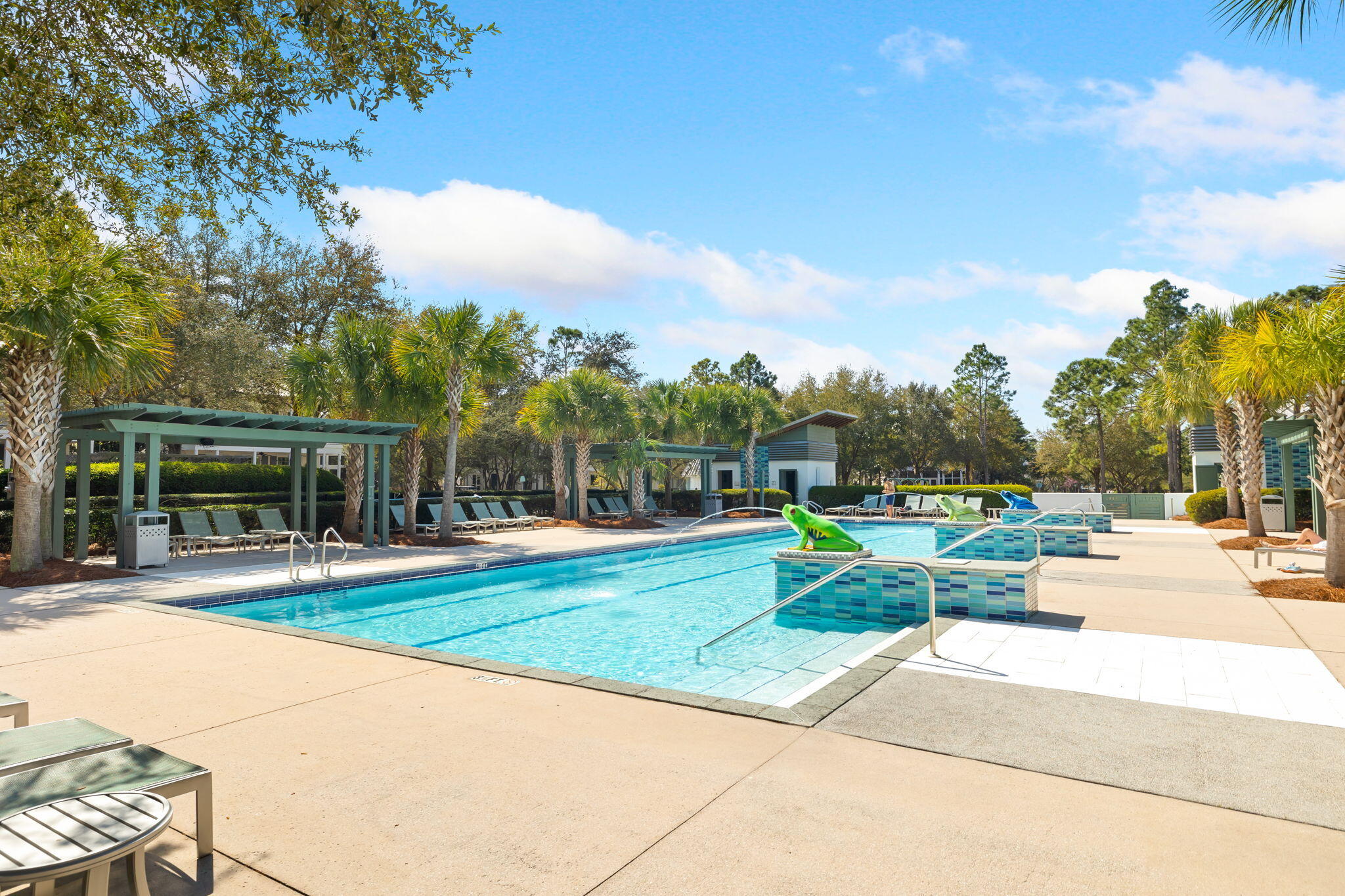 82 Red Cedar Way Santa Rosa Beach, FL 32459 - Photo 90 of 98 Gallery Image 90