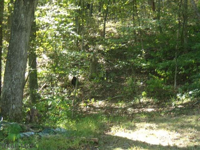 575 Smith Road Clearville, PA 15535 - Photo 4 of 19