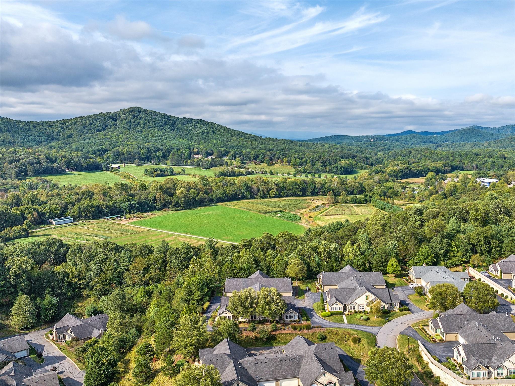 75 Outlook Circle Swannanoa, NC 28778 - Photo 30 of 31 a view of a garden with houses