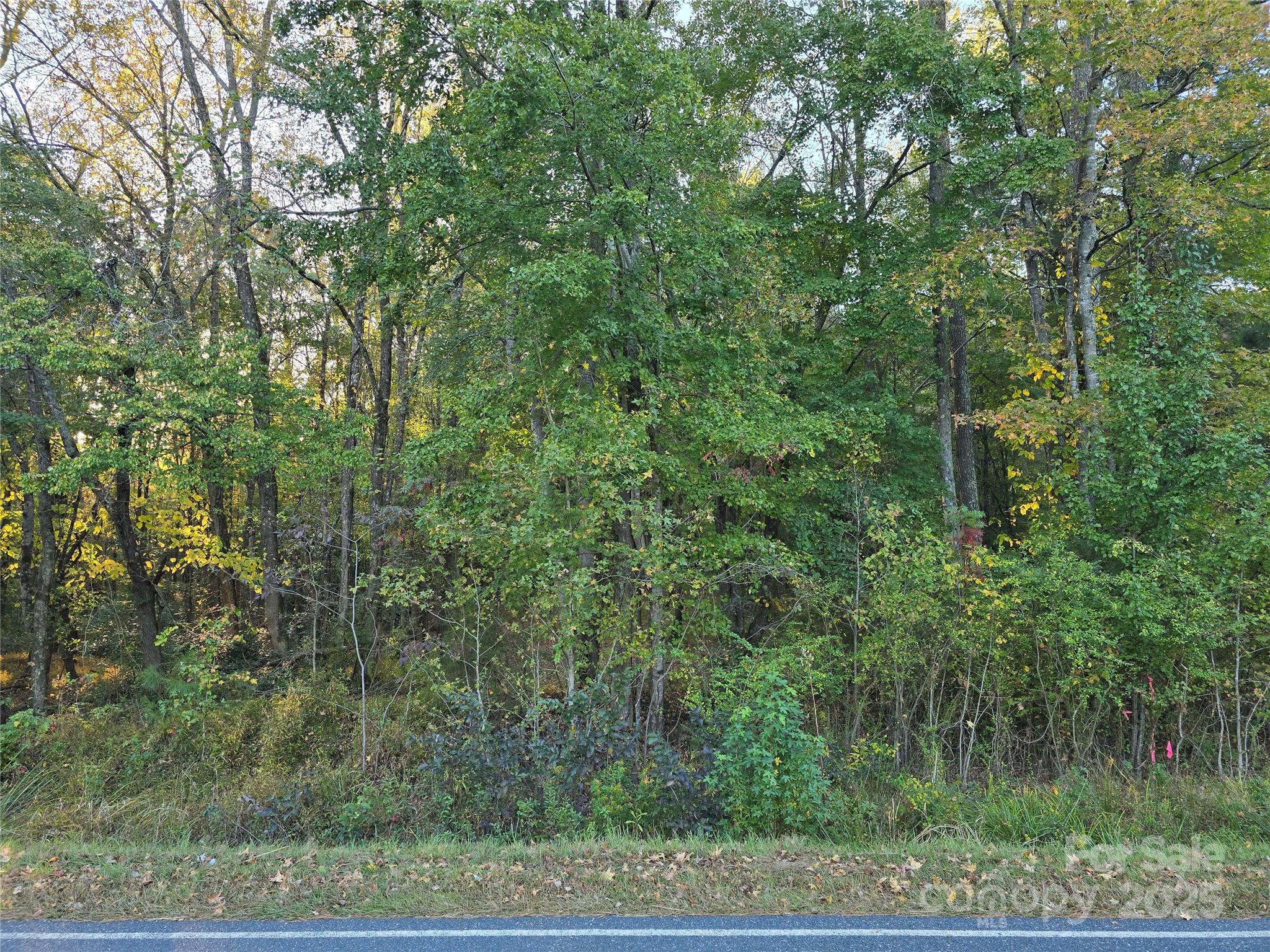 Tbd Tbd Maske Rd Mount Mount Gilead, NC 27306 - Photo 2 of 2 a view of a yard