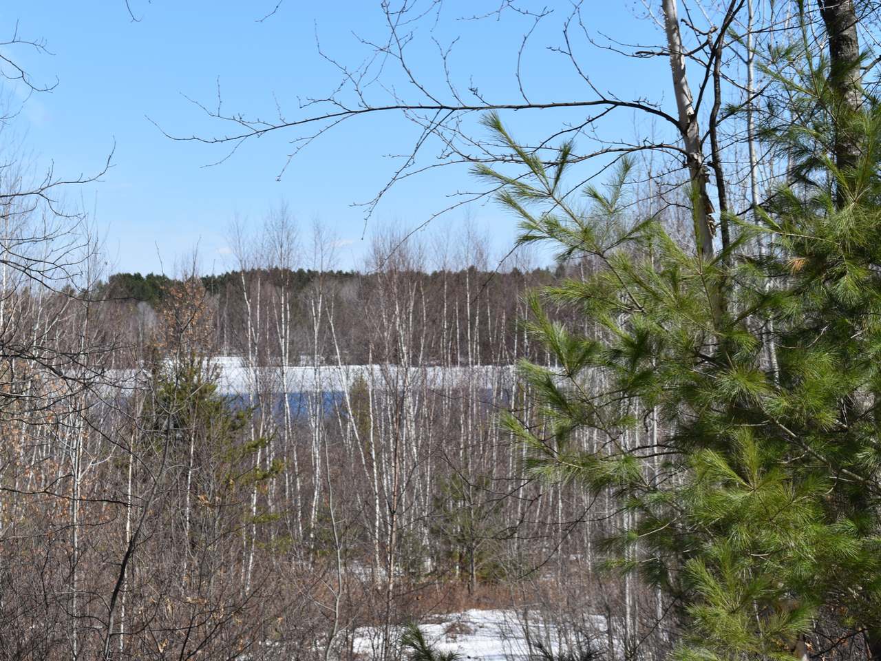 On On Pine Road, Unit LOT3 Tomahawk, WI 54487 - Photo 7 of 20 Gallery Image 7