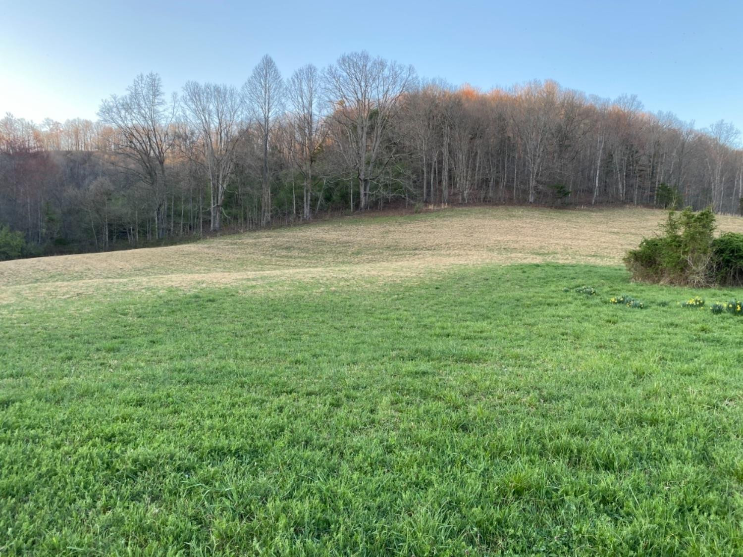 1111 Powell Branch Road Bimble, KY 40915 - Photo 5 of 19 Photo 5