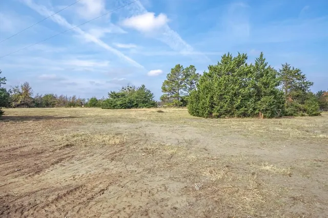 a view of a field with an ocean