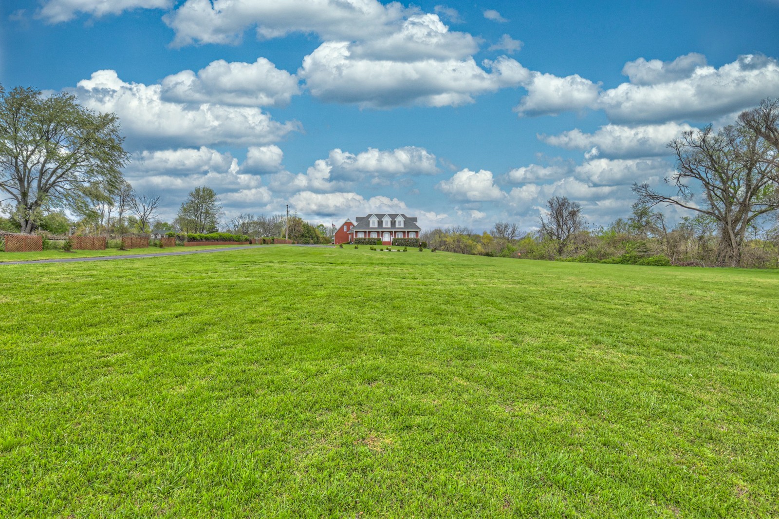 5784 Rock Springs Road Smyrna, TN 37167 - Photo 12 of 74 a view of a big yard with lots of tress in it