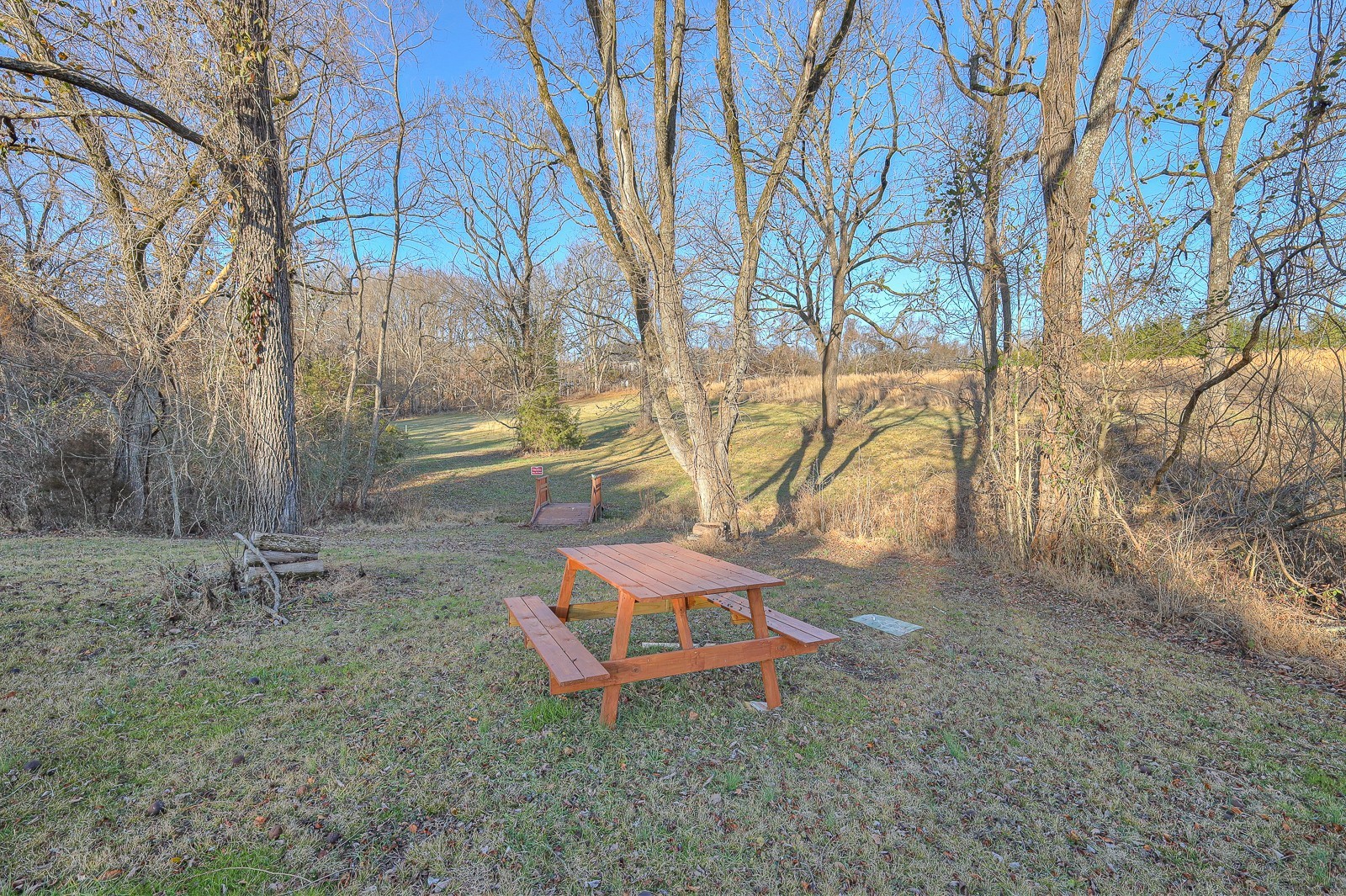 5784 Rock Springs Road Smyrna, TN 37167 - Photo 31 of 74 a backyard of a house with table and chairs