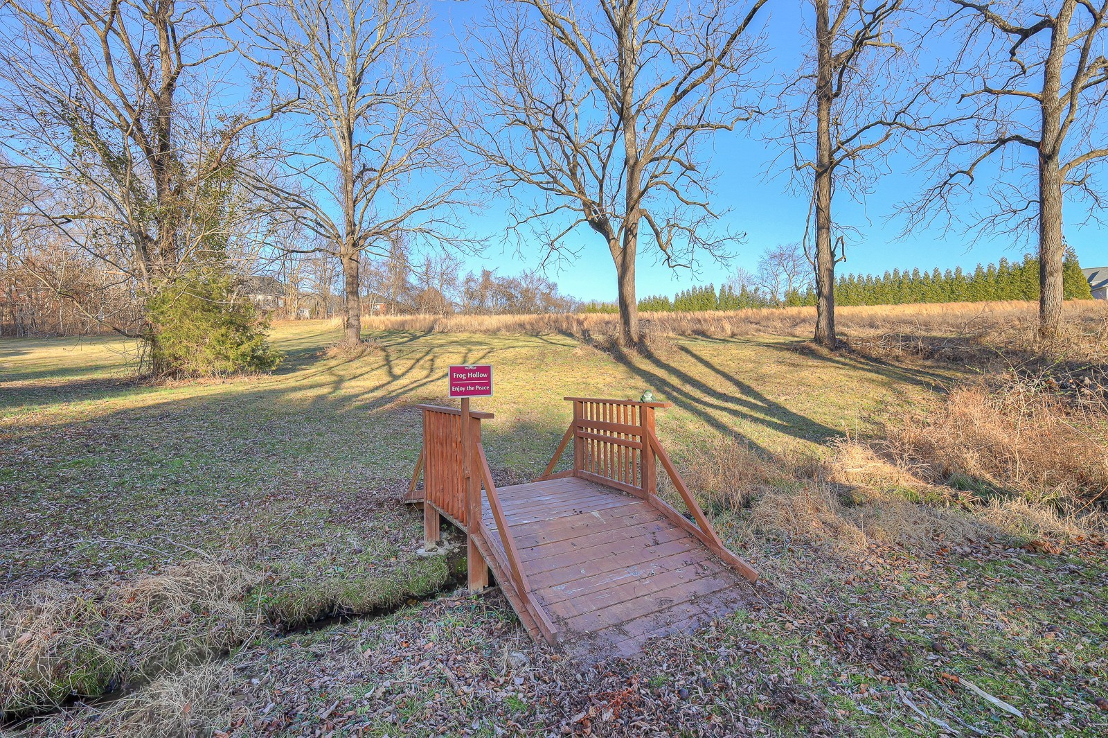 5784 Rock Springs Road Smyrna, TN 37167 - Photo 32 of 74 a view of yard with tree