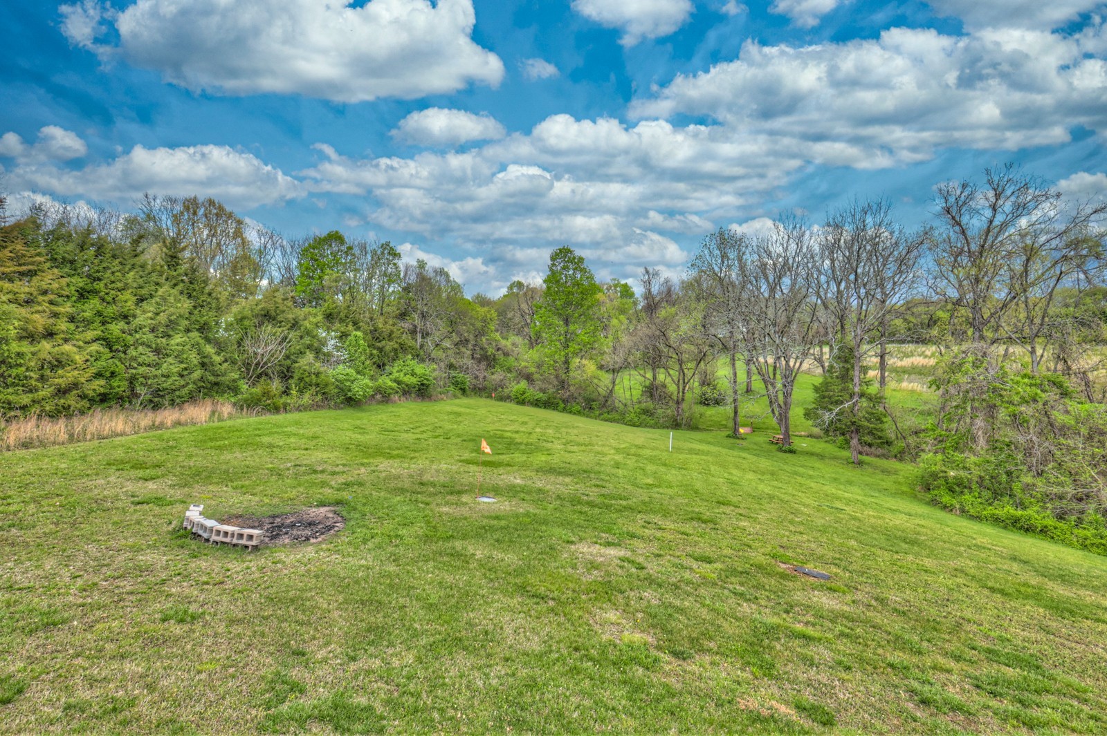 5784 Rock Springs Road Smyrna, TN 37167 - Photo 9 of 74