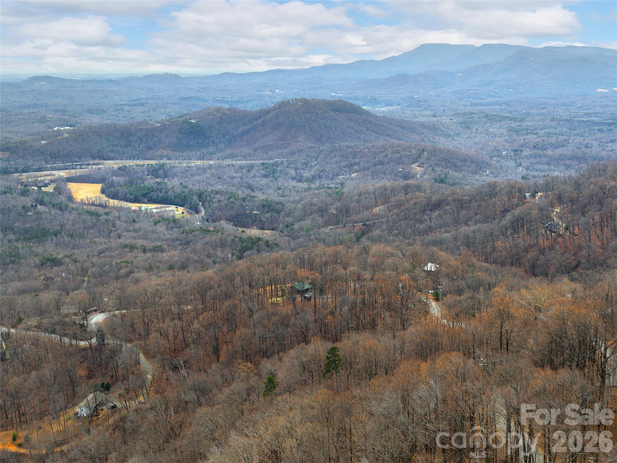 Lot 56 White Oak Mountain Road, Unit 56 Columbus, NC 28722 - Photo 1 of 10 a view of a dry yard