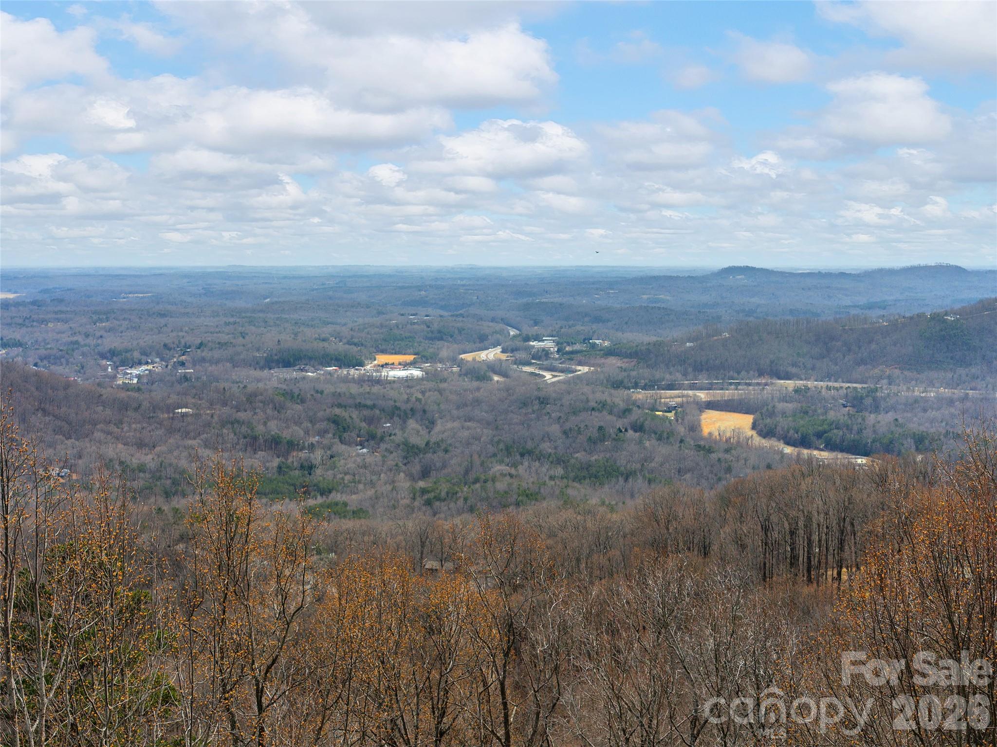 Lot 56 White Oak Mountain Road, Unit 56 Columbus, NC 28722 - Photo 2 of 10 a view of a dry yard with lots of trees