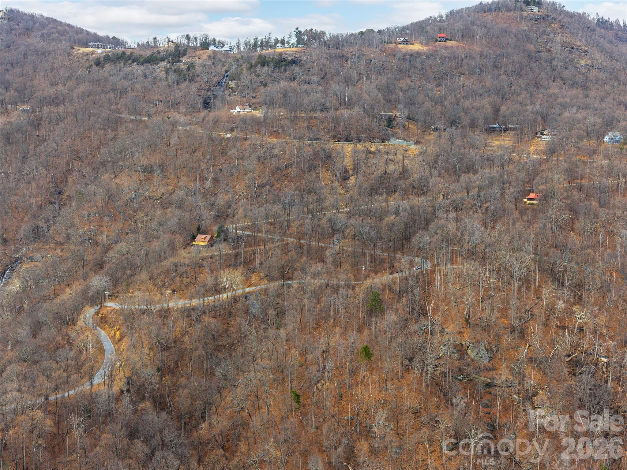 Lot 56 White Oak Mountain Road, Unit 56 Columbus, NC 28722 - Photo 3 of 10 a view of a dry yard