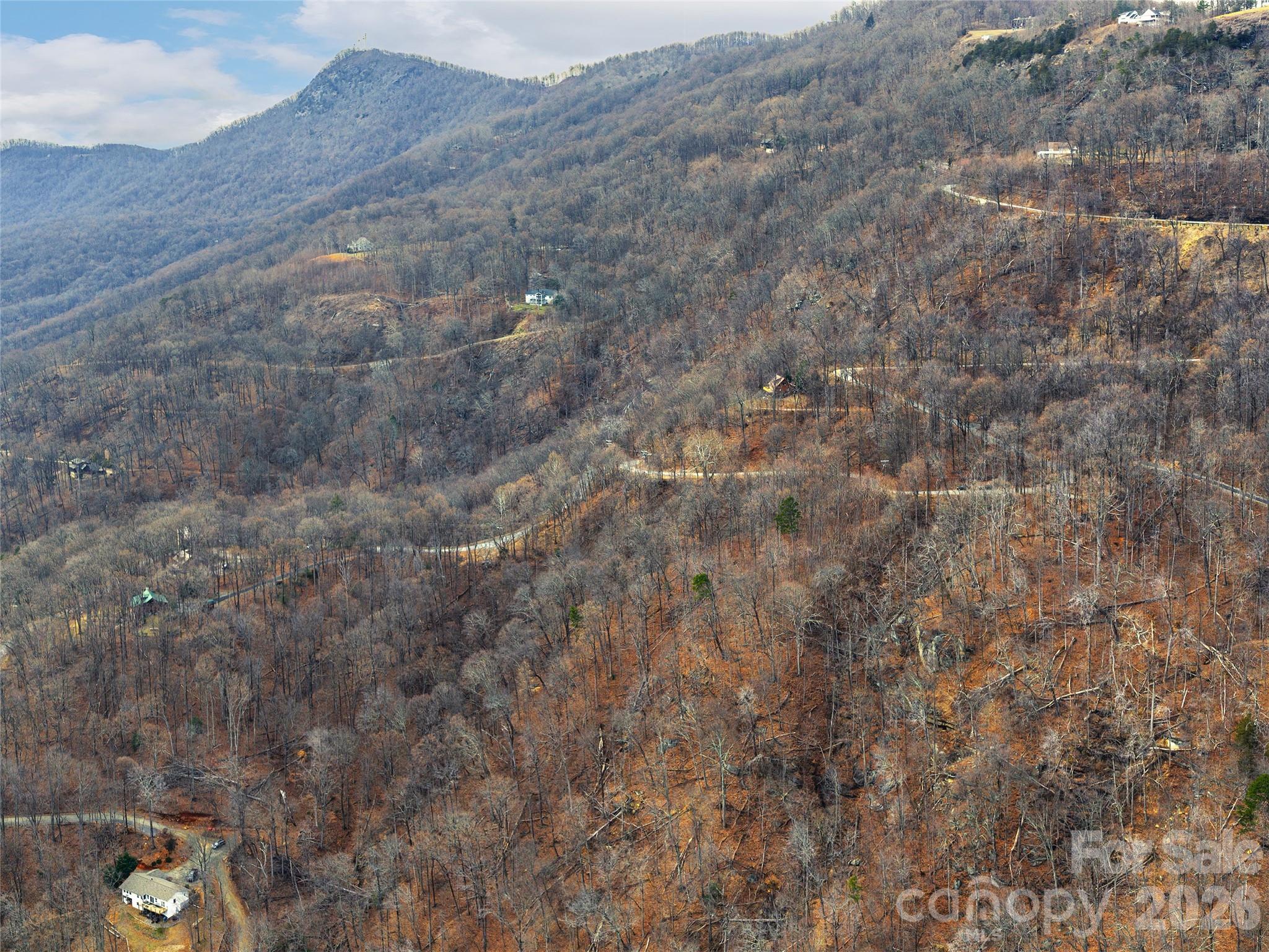 Lot 56 White Oak Mountain Road, Unit 56 Columbus, NC 28722 - Photo 4 of 10