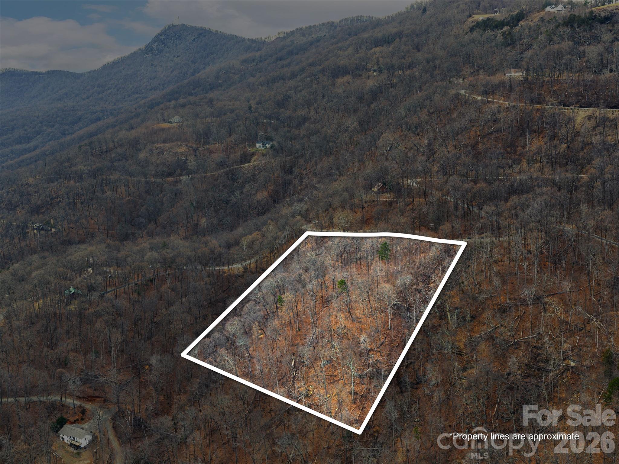 Lot 56 White Oak Mountain Road, Unit 56 Columbus, NC 28722 - Photo 5 of 10