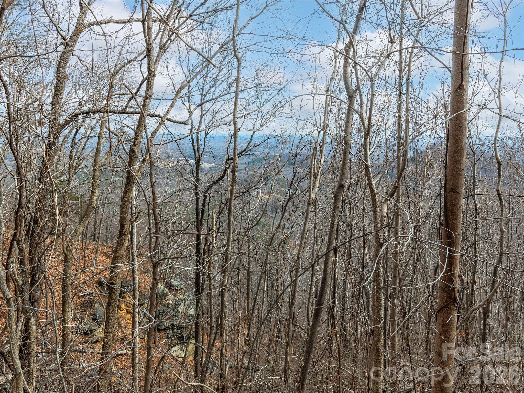 Lot 56 White Oak Mountain Road, Unit 56 Columbus, NC 28722 - Photo 6 of 10 a backyard of a house with lots of trees