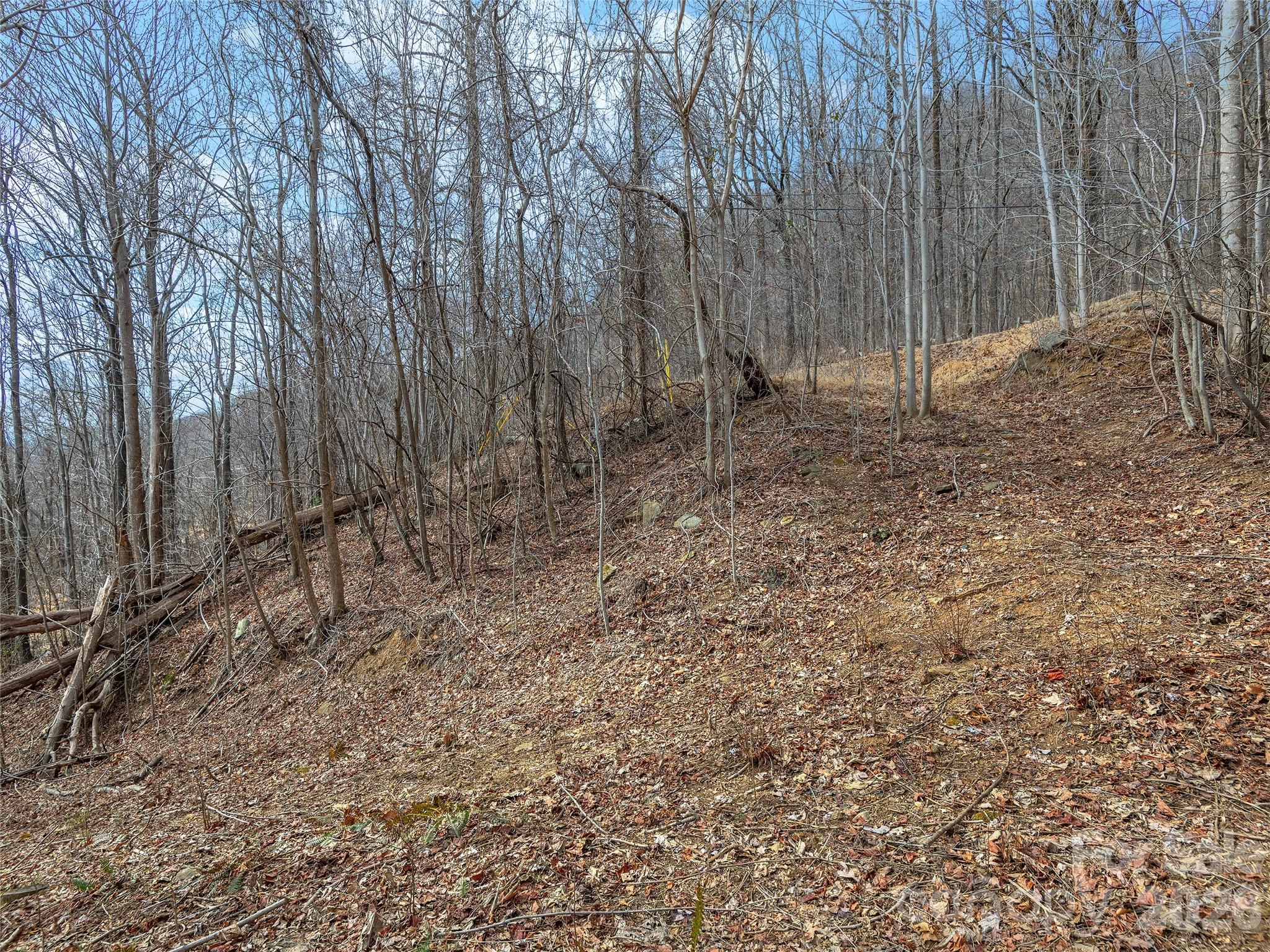 Lot 56 White Oak Mountain Road, Unit 56 Columbus, NC 28722 - Photo 8 of 10 a view of backyard with green space