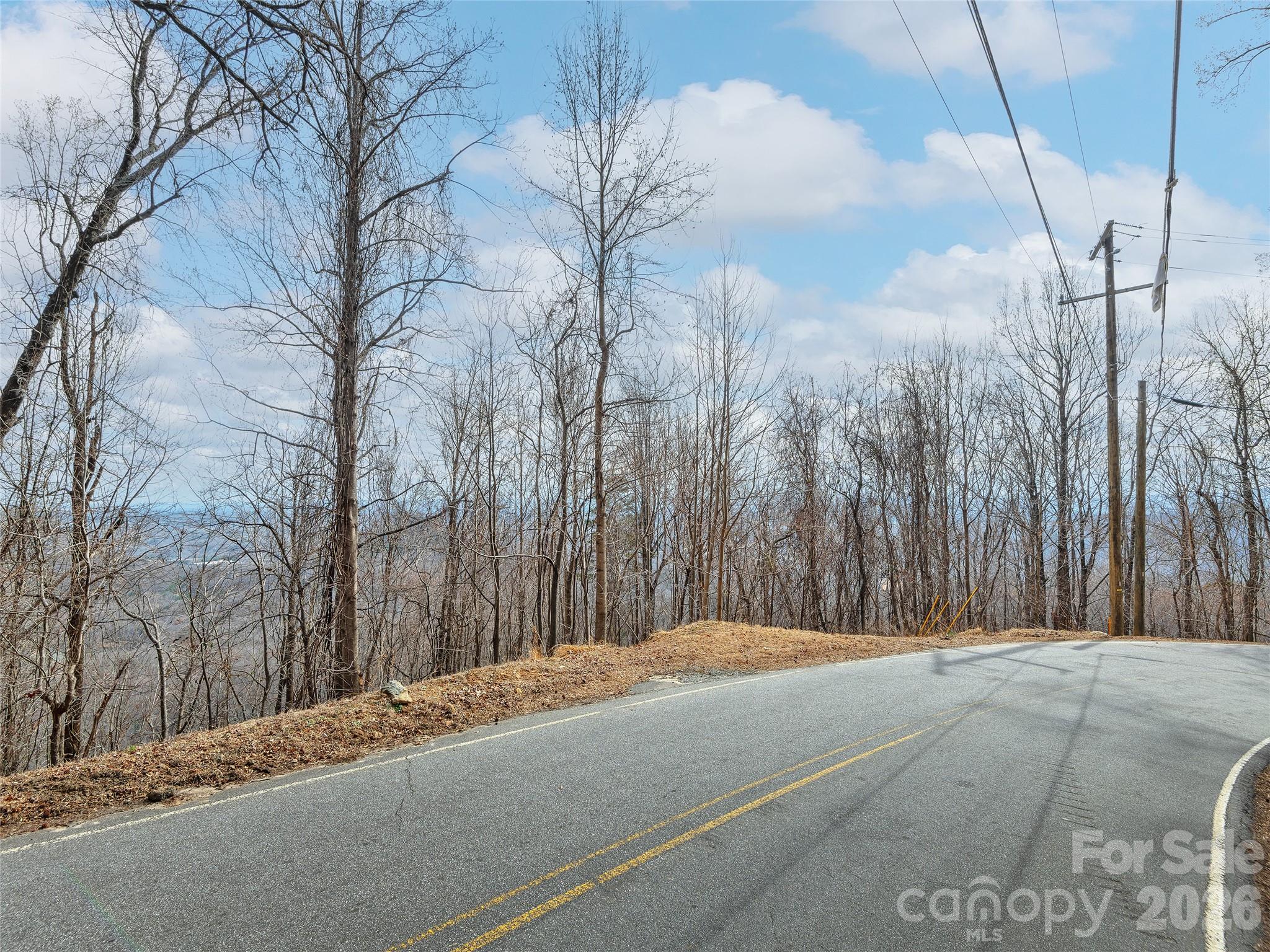 Lot 56 White Oak Mountain Road, Unit 56 Columbus, NC 28722 - Photo 10 of 10 a backyard of a house