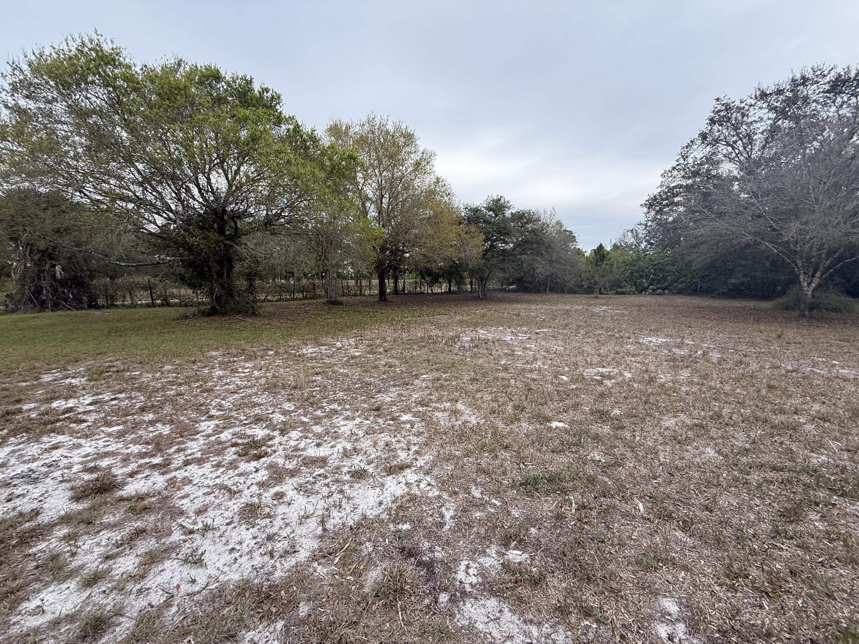 a view of a field with trees in the background